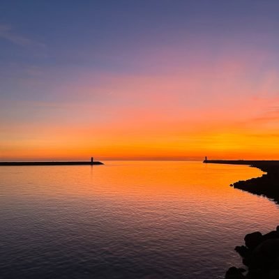 pexels-alisavelieva-20293126